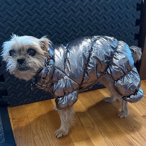 Metallic Silver Full-body Puffer DOG Coat🐶